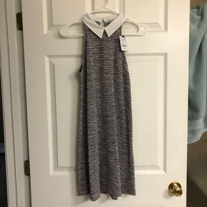 NWT Collared sweater dress from ZARA
